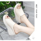 Creamy-white / 39