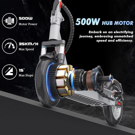 Scooter elettrico IENYRID M1 250W 36V 12,5 AH Batteria Pneumatici da città da 10 pollici Display digitale intelligente a LED Scooter da città per adulti