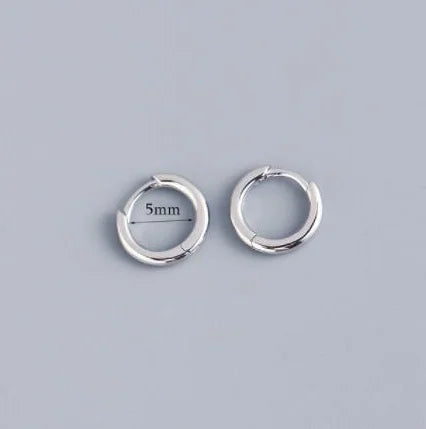 2 pezzi piccoli orecchini a cerchio piccoli Huggie in acciaio inossidabile per le donne cerchio rotondo punk unisex orecchini rock gioielli penetranti della cartilagine PlatiNum