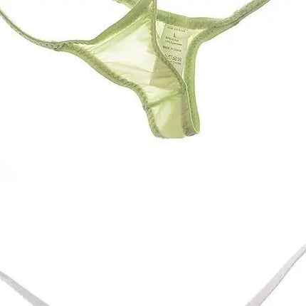 Women's Thin Ice Silk High Elastic Thong Mini Low-rise Sexy Sheer Single Layer Underwear