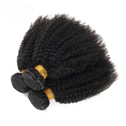 100g/PC Mongolian Afro Kinky Curly Human Hair Bundles 1/3PC Set Double Weft Hair Extensions Natural Color Full End Virgin Hair