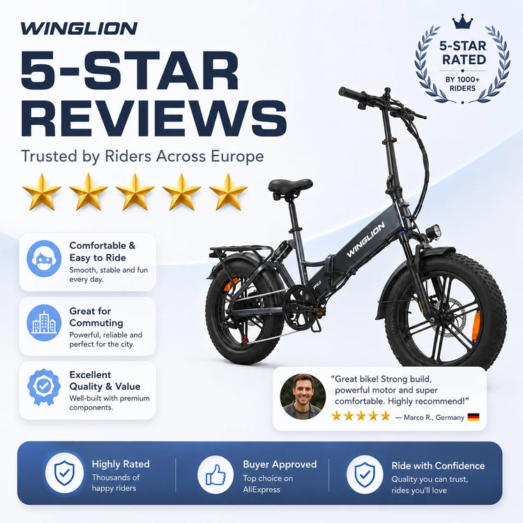 WINGLION EB-FF2.0 Bicicletta Elettrica Pieghevole da Donna, Motore 750W, Batteria 48V 15Ah, Autonomia 100KM, Velocità 40KM/H, Pneumatici Fat 4.0 da 20 Pollici, E-bike Pieghevole per Tutti i Terreni