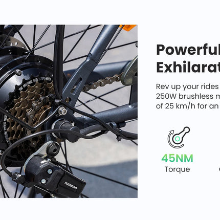 Bicicletta Elettrica Urbana Foride B1, Motore 250W, Coppia 45Nm, Batteria 36V 15.6Ah, Autonomia 90km, 5 Livelli di Assistenza, Modalità Camminata 6km/h