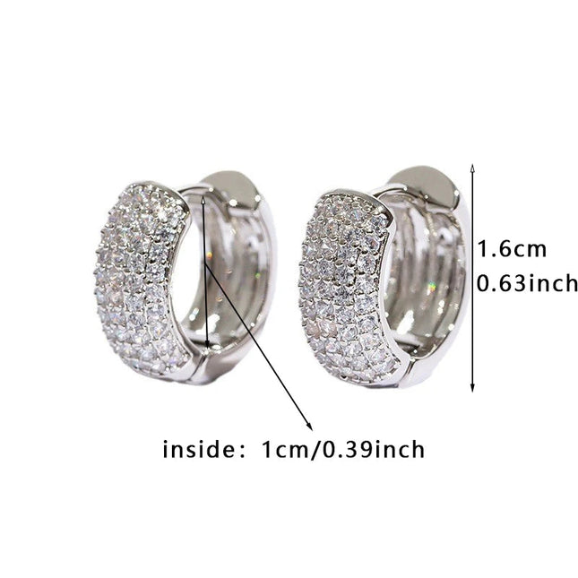 Luxury Full Zircon Multi-Row Sparkling Silver Color Hoop Earrings for Men Women Fashion Jewelry New Arrival PlatiNum