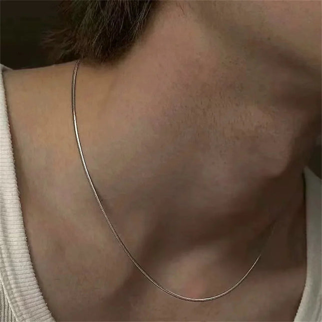 wholesale 1/2mm 925 sterling silver Women Jewelry Snake Chain Necklace For Men Simple Basic Chain Hip Hop Fashion Accessories PlatiNum