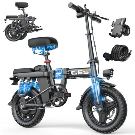 TOOFLY GE5 Folding Electric Bicycle 250W Motor 48V15AH Removable Lithium Battery Electric Bike for Adults City Riding Commuting Ebike