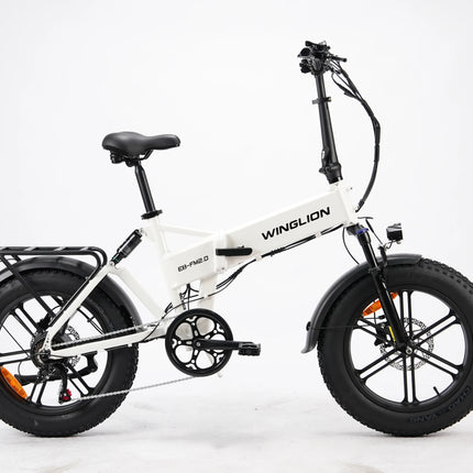 Nuova Bicicletta Elettrica Pieghevole WINGLION eb-fm2.0, Motore 720W, Batteria 48V 15AH, Pneumatici Larghi 20 "x4.0, Freno Idraulico, Ideale per Adulti, Città, Casa, Lavoro