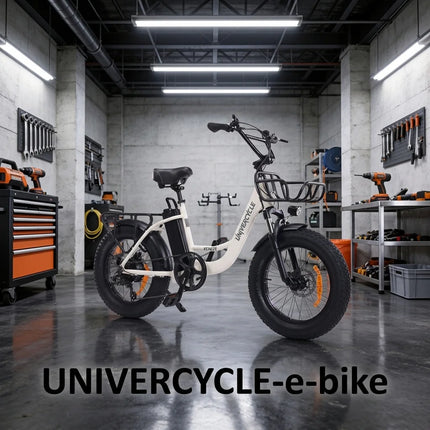 UNIVERCYCLE B5 VENERE Bici Elettrica per Adulti Motore 250W 25KM/H Batteria Rimovibile 48V 13AH Pneumatici Largi 20 Pollici E-Bike Freni a Disco Idraulici Telaio a Passo Basso Bici Elettrica per Pendolari Lunga Autonomia 55KM