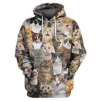 Hoodie-PZM31408