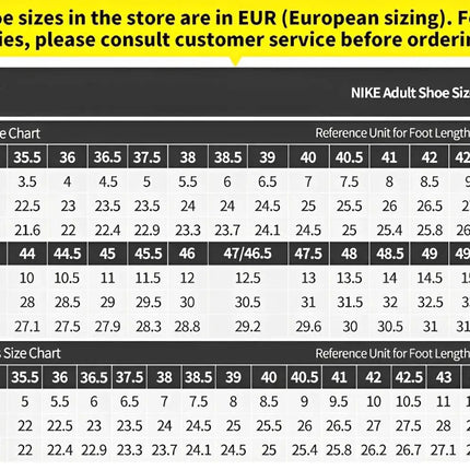 NIKE AIR WINFLO 11 Scarpe da corsa sportive da uomo, ammortizzanti, leggere, traspiranti, scarpe da ginnastica per allenamento fitness FJ9509-008 platinumshop