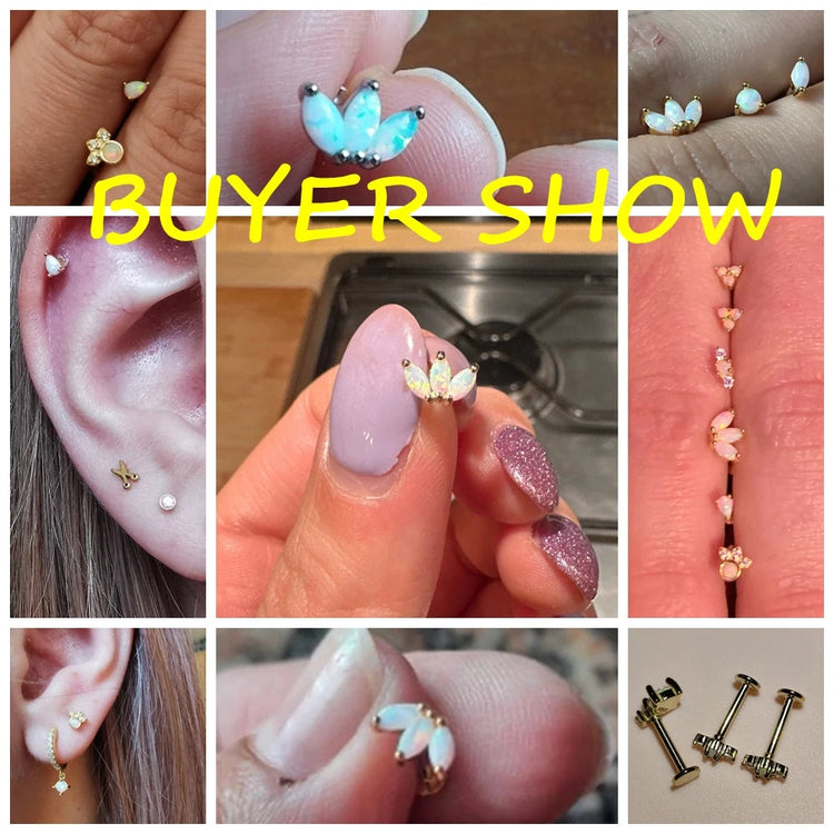 CANNER 1PC 925 Sterling Silver Exquisite Crown Opal Piercing Earring for Women Ear Studs Cartilage Earring Body Jewelry Gift PlatiNum