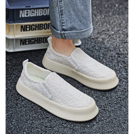 2025 Autumn New Fashion Shallow Mouth Casual Canvas Shoes for Men Breathable Comfortable Niche Design Versatile Chunky Sneakers