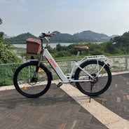 Bicicletta Elettrica Cityrun per Adulti, 26 Pollici, Unisex, Motore 250W, Batteria 36V/10Ah, Velocità Massima 25 km/h, Pedalata Assistita, Autonomia 70-90 km.