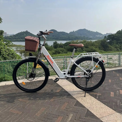 Bicicletta Elettrica Cityrun per Adulti, 26 Pollici, Unisex, Motore 250W, Batteria 36V/10Ah, Velocità Massima 25 km/h, Pedalata Assistita, Autonomia 70-90 km.