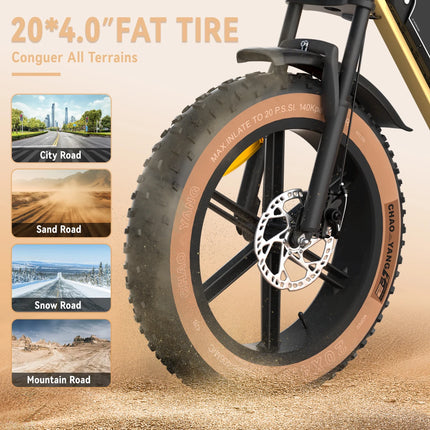 Bicicletta Elettrica per Adulti JANSNO X70G 750W 48V 37AH con Doppia Batteria Rimovibile, Pneumatici Fat da 20 Pollici, E-Bike Fuoristrada per Tutti i Terreni