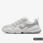 DR9761-100