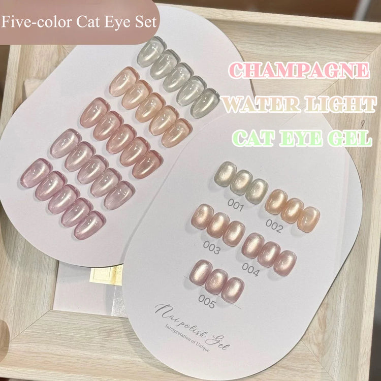 WS 10ml 6-Color Silver Water Light Cat Magnetic Gel Nail Polish Nail Supplies Vernis Semi Permanent Gel for Fall Winter Nails