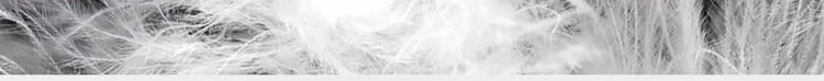 S279aab916d184bd594e2466dd093d7faX - platinumshop