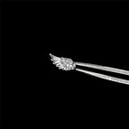 EGD-381-R