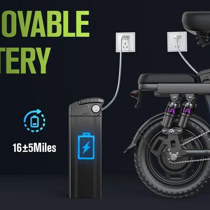 TOOFLY GE5 Folding Electric Bicycle 250W Motor 48V15AH Removable Lithium Battery Electric Bike for Adults City Riding Commuting Ebike