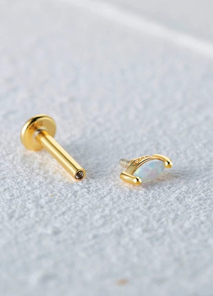 CANNER 1PC 925 Sterling Silver Exquisite Crown Opal Piercing Earring for Women Ear Studs Cartilage Earring Body Jewelry Gift PlatiNum