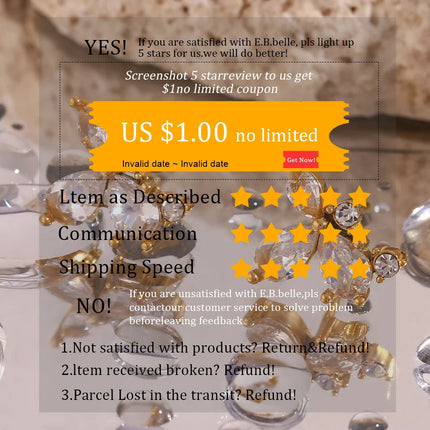 E.B.belle  Stainless Steel PVD Plated 3A Zircon Stone Crown Pendant Necklace Ladies Minimalist Weddng Party Crystal Necklace PlatiNum