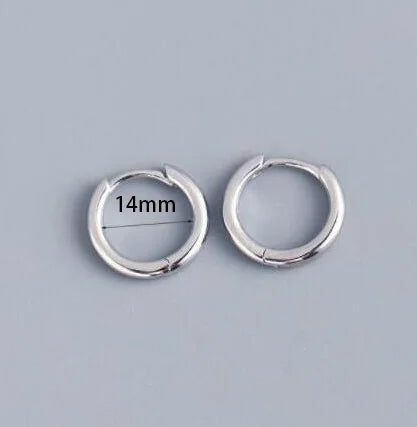 2 pezzi piccoli orecchini a cerchio piccoli Huggie in acciaio inossidabile per le donne cerchio rotondo punk unisex orecchini rock gioielli penetranti della cartilagine PlatiNum
