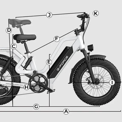 Bicicletta Elettrica G-FORCE RS ST per Tutti i Terreni, Potenza 750W, Batteria 48V15Ah, Bici Elettrica per Adulti, Pneumatici Larghi 20*4 Pollici per Tutti i Terreni