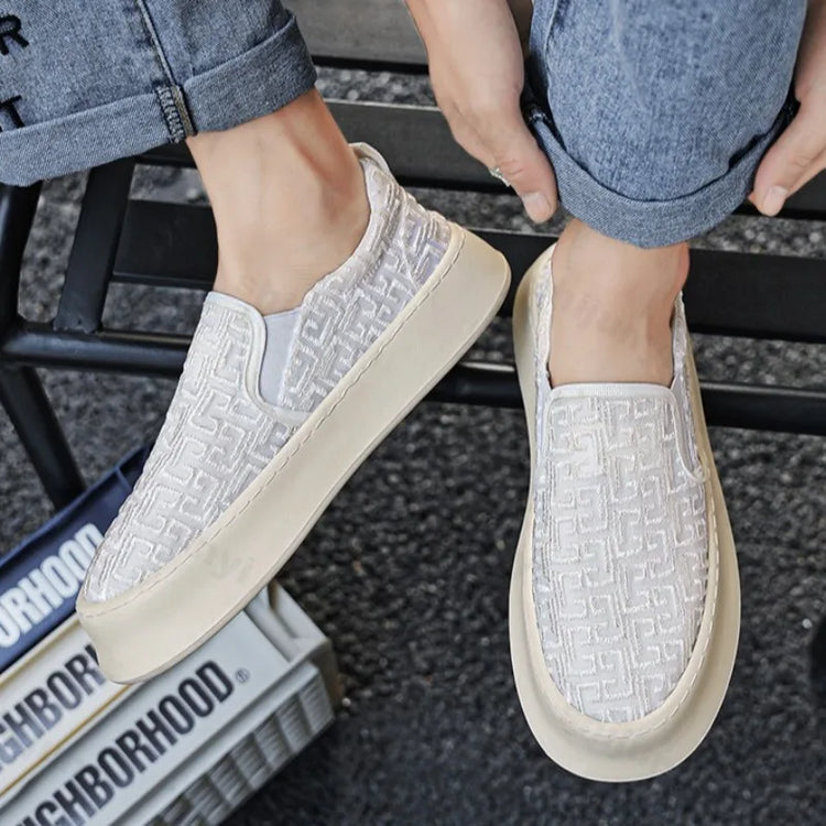 2025 Autumn New Fashion Shallow Mouth Casual Canvas Shoes for Men Breathable Comfortable Niche Design Versatile Chunky Sneakers