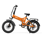 PVY Z20PLUS 1000 Bici Elettrica Per Adulti 250W Motore Città Bicicletta Elettrica 48V16.5AH Batteria E-bike 20 Pollici Fat Tire Ebike