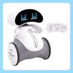 Smart robot