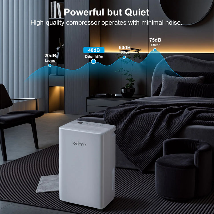 LOEFME Deumidificatore Elettrico Sbrinamento 24H Timer Smart Home Camera Da Letto Seminterrato Automatico 16L/24H 2L Serbatoio Acqua con Ruote Tubi