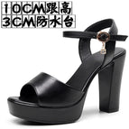 Black 10CM / 42