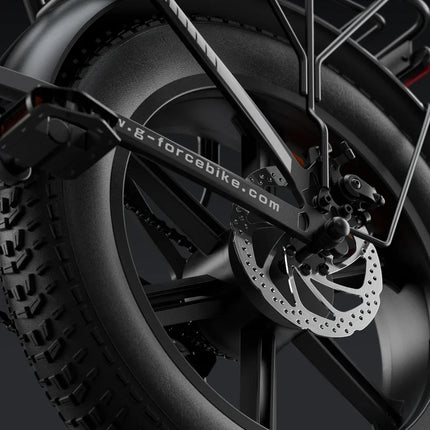 Bicicletta Elettrica Pieghevole G-FORCE RC per Adulti, Motore 750W, Batteria 48V 15AH, Pneumatici Fat da 20 Pollici, Bici Elettrica Urbana