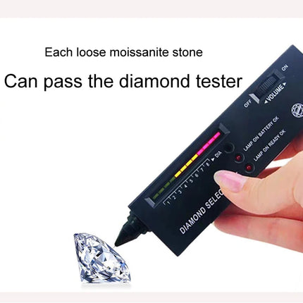 D VVS1 Pass Diamond Tester Moissanite Stud Earrings For Women 100% Real 925 Sterling Silver 2 GRA Certificates Moissanita PlatiNum