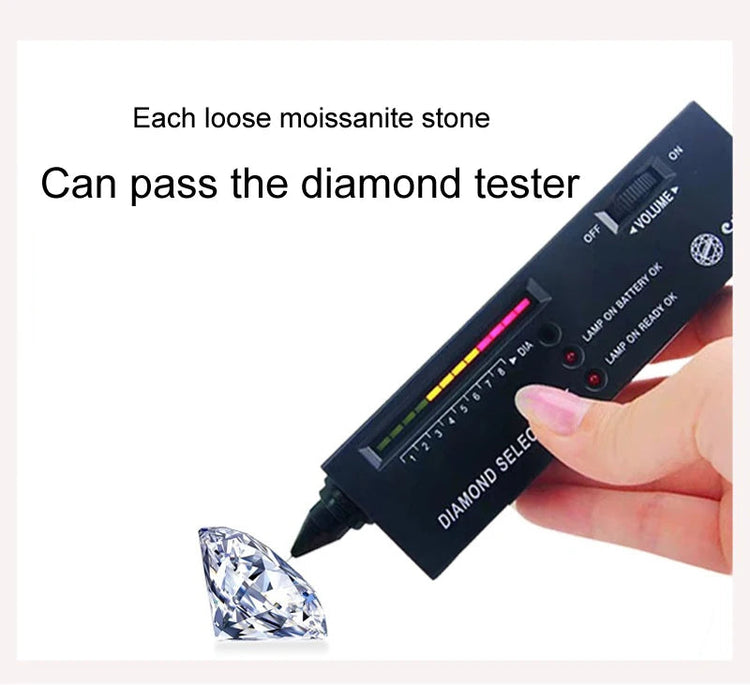 D VVS1 Pass Diamond Tester Moissanite Stud Earrings For Women 100% Real 925 Sterling Silver 2 GRA Certificates Moissanita PlatiNum