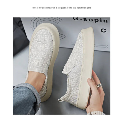2025 Autumn New Fashion Shallow Mouth Casual Canvas Shoes for Men Breathable Comfortable Niche Design Versatile Chunky Sneakers