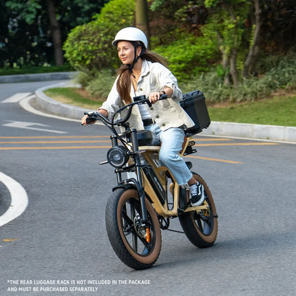 Bicicletta Elettrica per Adulti JANSNO X70G 750W 48V 37AH con Doppia Batteria Rimovibile, Pneumatici Fat da 20 Pollici, E-Bike Fuoristrada per Tutti i Terreni