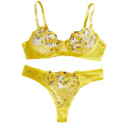 Embroidery Women's Transparent Mesh Underwear Two-piece Bra And Panties Sets