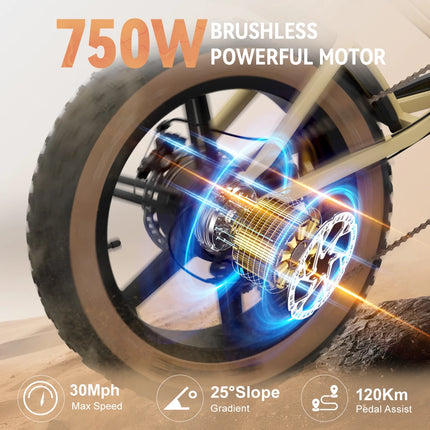 Bicicletta Elettrica per Adulti JANSNO X70G 750W 48V 37AH con Doppia Batteria Rimovibile, Pneumatici Fat da 20 Pollici, E-Bike Fuoristrada per Tutti i Terreni
