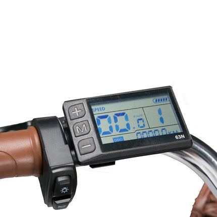 Bicicletta Elettrica Cityrun per Adulti, 26 Pollici, Unisex, Motore 250W, Batteria 36V/10Ah, Velocità Massima 25 km/h, Pedalata Assistita, Autonomia 70-90 km.