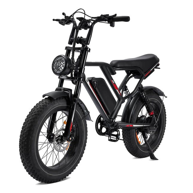Bicicletta elettrica HiQiS S8 con motore da 25 km/h, 48V 25AH, doppia sospensione, pneumatici fat da 20 pollici, lunga autonomia di 50 km, e-bike per adulti