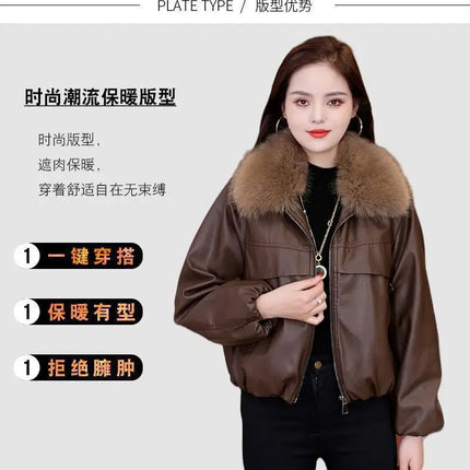 S40680a19d4654f409c97a79e75e579aaa - platinumshop