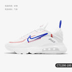 CT1290-100