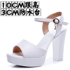 White 10CM / 33
