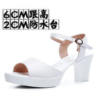White 6CM / 37