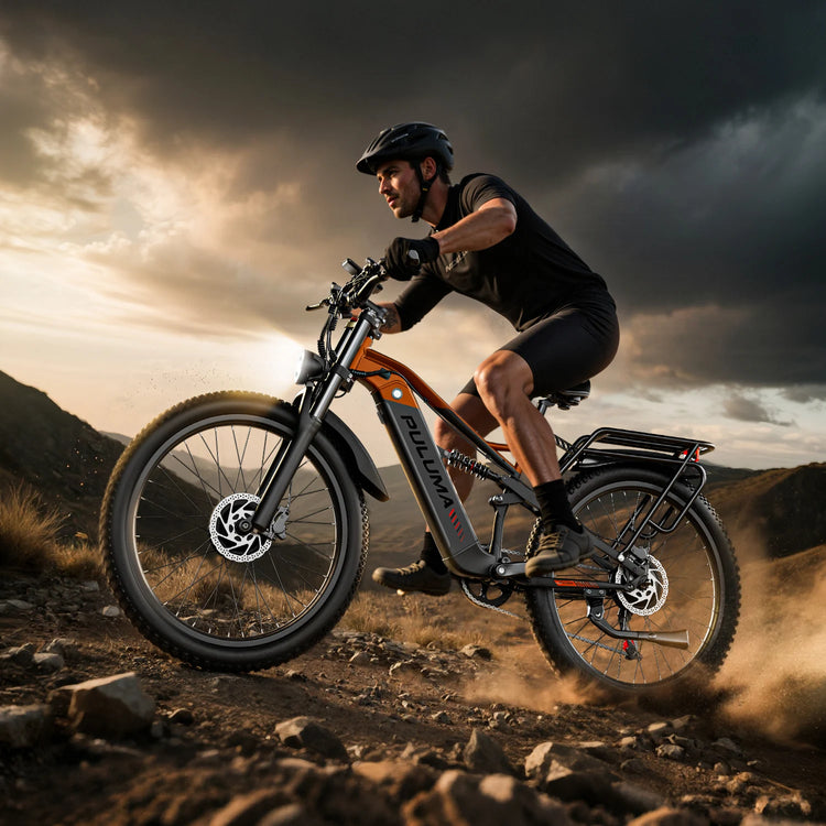 PULUMA PE86pro Bicicletta Elettrica 48V20Ah 1000W, Bici Elettrica da Città con Freni Idraulici, Doppio Motore, Mountain Bike Fuoristrada