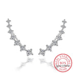 C Silver
