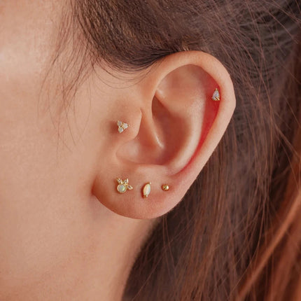 CANNER 1PC 925 Sterling Silver Exquisite Crown Opal Piercing Earring for Women Ear Studs Cartilage Earring Body Jewelry Gift PlatiNum