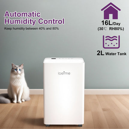 LOEFME Deumidificatore Elettrico Sbrinamento 24H Timer Smart Home Camera Da Letto Seminterrato Automatico 16L/24H 2L Serbatoio Acqua con Ruote Tubi